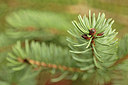 BUITEN BEELD Foto: 291494