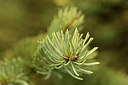 BUITEN BEELD Foto: 291495