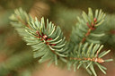 BUITEN BEELD Foto: 291498