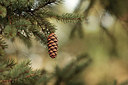 BUITEN BEELD Foto: 291499