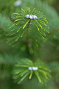 BUITEN BEELD Foto: 291556