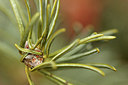 BUITEN BEELD Foto: 291559
