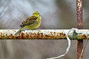 BUITEN BEELD Foto: 291601
