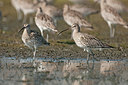 BUITEN BEELD Foto: 291619