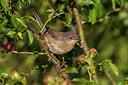 BUITEN BEELD Foto: 291696