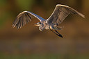 BUITEN BEELD Foto: 291730