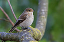 BUITEN BEELD Foto: 291753