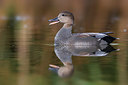 BUITEN BEELD Foto: 291775