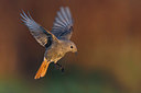 BUITEN BEELD Foto: 291825