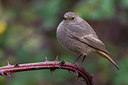 BUITEN BEELD Foto: 291830