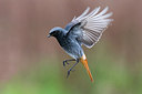 BUITEN BEELD Foto: 291859