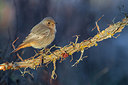 BUITEN BEELD Foto: 291863