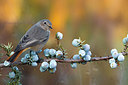 BUITEN BEELD Foto: 291864