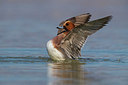 BUITEN BEELD Foto: 291884