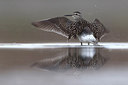 BUITEN BEELD Foto: 292030