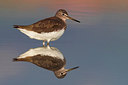 BUITEN BEELD Foto: 292032