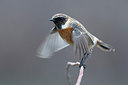 BUITEN BEELD Foto: 292064