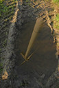 BUITEN BEELD Foto: 292118