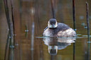 BUITEN BEELD Foto: 292152