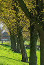 BUITEN BEELD Foto: 292204