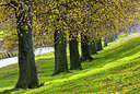 BUITEN BEELD Foto: 292215
