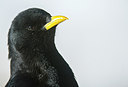 BUITEN BEELD Foto: 292228