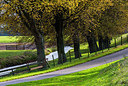 BUITEN BEELD Foto: 292239