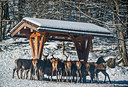 BUITEN BEELD Foto: 292262
