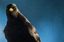 BUITEN BEELD Foto: 292269