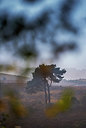 BUITEN BEELD Foto: 292283