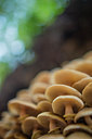 BUITEN BEELD Foto: 292309