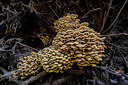 BUITEN BEELD Foto: 292317