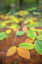 BUITEN BEELD Foto: 292336