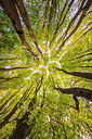 BUITEN BEELD Foto: 292340