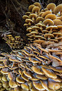 BUITEN BEELD Foto: 292349