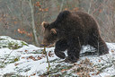 BUITEN BEELD Foto: 292350
