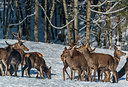 BUITEN BEELD Foto: 292358