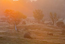 BUITEN BEELD Foto: 292360