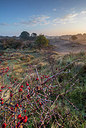 BUITEN BEELD Foto: 292376