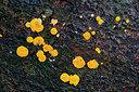 BUITEN BEELD Foto: 292445