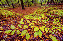 BUITEN BEELD Foto: 292446
