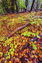 BUITEN BEELD Foto: 292449