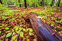 BUITEN BEELD Foto: 292451