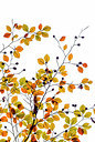 BUITEN BEELD Foto: 292483