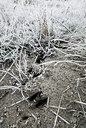 BUITEN BEELD Foto: 292499