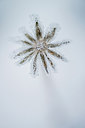 BUITEN BEELD Foto: 292516