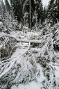 BUITEN BEELD Foto: 292536