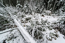 BUITEN BEELD Foto: 292537