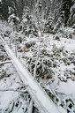 BUITEN BEELD Foto: 292538