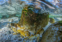BUITEN BEELD Foto: 292585